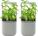 Vego garden Mini Planter Indoor Pots with Trellis Self-Watering Herb Countertop Planter for Climbing Vegetables Flowers Mint Plants Cage 2 Pack- Fog Gray by GreenHaven Gardens