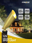 COLOER Die-cast Brass Landscape Spotlight 12-Pack Without Bulb,12V AC/DC Low Voltage Copper Outdoor Lighting with Ground Stake, Directional Garden Patio Spot Up Light (102B Brass Finish) by GreenHaven Gardens