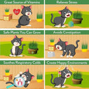 HOME GROWN Cat Grass Seed Mix – Non-GMO Oat, Alfalfa, Rye & Wheat Seeds for Cats | Indoor Pet Grass with Fast Germination | Digestive Aid, Hairball Relief & Safe Chew Alternative by GreenHaven Gardens