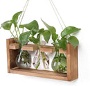 Plant Propagation Station Plant Terrarium Unique Birthday Gifts for Women Plant Lovers Home Office Decor Planter with Wooden Stand - 3 Bulb Glass Vase by GreenHaven Gardens