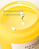 M&SENSE Mango Pineapple Scented Candle, 19.4oz Non Toxic Natural Soy Wax 110 Hours Long Lasting Burn Fruit Scent Summer Gifts for Housewarming, 2 Wick Aromatherapy Candle for Women Men Family Friends by CozyNest Decor
