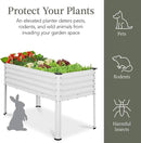 Best Choice Products 48x24x30in Galvanized Raised Garden Bed, Metal Elevated Planter Box, Vegetable Garden for Backyard, Patio, Balcony - White by GreenHaven Gardens