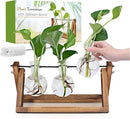 Plant Propagation Station, Plant Terrarium with Wooden Stand, Unique Gardening Birthday Gifts for Women Plants Lovers, Home Office Garden Decor Planter - 3 Bulb Glass Vases by GreenHaven Gardens