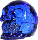 Model Statue for Halloween Decor Indoor Blue Crystal Skull Decorative Figurine Gifts for Women Husbands Halloween Head Figurine Decoration Gift (Blue Skull) by CozyNest Decor