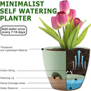 Plant Pots 12/10/9 Inch Self Watering Pots, Set of 3 Plastic Planters with Drainage Holes and Saucers,Plastic Flower Pots,Nursery Planting Pot for Indoor Out Door Plants(Green) by GreenHaven Gardens
