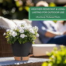 montresor 2 Pack 8 inch Plant Pots, PP Plastic Self Watering Plant Pot with Drainage and Tray for Indoor Outdoor Plants, Water Level Window & Reservoir Flower Pots Decorative Planter (Black) by CozyNest Decor