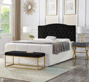 24KF Upholstered Tufted Button Velvet Headboard,Comfortable Fashional Headboard Queen/Full Size,Black by CozyNest Decor