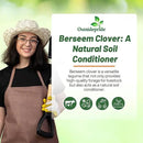 Outsidepride Annual Berseem Clover Seeds for Lawn - 10 lbs. High-Yield, Fast-Growing Clover Cover Crop Seeds for Food Plots, Cattle Forage & Nitrogen-Rich – Ideal for Pastures & Soil Improvement by GreenHaven Gardens