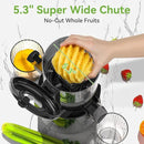 Cold Press Juicer - 5.3" Large Feed Chute Juicer Machines for Whole Vegetables & Fruits, 99% High Juice Yield, Quiet & Easy to Clean Slow Masticating Juicer, BPA-Free, Preserves More Nutrients (Black) by CozyNest Decor