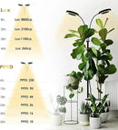 GLOWRIUM Grow Light with Stand,2-Head LED Plant Light for Indoor Plants, Full Spectrum Grow Lamp, 3/9/12H Timer, 6 Dimmable Levels, 3 Lighting Mode, Adjustable Height by GreenHaven Gardens