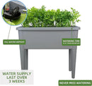 Dexceder 13.2 Gallon Self Watering Raised Garden Bed with Ventilation Transparent Lid Greenhouse, Deepen Vegetable Flower Box Planter Pot with Removeble Legs & Water Level Indicator (Deep Gray) by GreenHaven Gardens