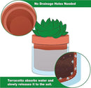 Phoenix Vine 4 Inch Self Watering Planter Pot, Terracotta Clay Pot with Glass Reservoir for Indoor Plants, Herbs, Flowers, Set of 4, 52-A-E-4 by GreenHaven Gardens