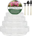BORPEIN Plant Saucer (6,8,10,12inch, 24 Pack) Clear Plastic Plant Trays for Pots Indoors Outdoors, Thicker Flower Pot Saucers, Plant Plate to Catch Water by GreenHaven Gardens
