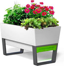 Glowpear Self Watering Planter Box - 29.5", White - UV Stable, Scalable Urban Raised Garden Bed with Water Gauge, Indoor Outdoor for Vegetables, Flowers, Herbs, and Succulents, Gardening by CozyNest Decor