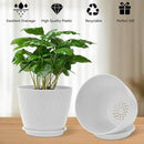 Plant Pots – 6 Inch Planters with Drainage Holes and Saucers, Flower Pots for Indoor and Outdoor Plants, Nursery Planting Pots (Pack of 5, White) by GreenHaven Gardens