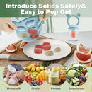 JEXFUN Silicone Baby Fruit Food Feeder Pacifier & Breastmilk Popsicle Freezer Molds for Cooling Relief, BPA Free Silicone Feeder to Safely Introduce New Foods, Double as Teething Toys, 4 Month+ by TinyTreasures Baby Boutique