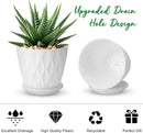 4 inch Plant Pots, 5 Pack Flower Pots Outdoor Indoor, Planters with Drainage Holes and Tray Saucers（White） by GreenHaven Gardens