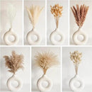 Dried Pampas Grass Decor, 128PCS Pampas Grass with Bunny Tails Dried Flowers, Reed Grass Bouquet for Wedding, Boho Flowers, Home Table Decor, Rustic Farmhouse Party by CozyNest Decor