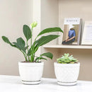 Sureasy Ceramic Indoor Plant Pots - 5.6 Inch Flower Pots for Plants with Drainage Hole and Saucer, Embossed Planter for Succulents, Orchid, Cactus, Indoor Home Decor, Set of 4, White by GreenHaven Gardens