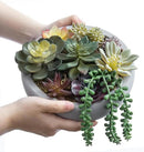 MyGift 8 Inch Round Modern Artificial Succulent Arrangement Potted in Gray Concrete Plant Bowl, Assorted Faux Mini Succulents in a Decorative Planter Pot by CozyNest Decor