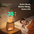 2-in-1 Ultrasonic Aromatherapy Diffuser: Essential Oil Diffuser & Himalayan Salt Lamp, Quiet Scent Diffusers for Home with Cool Mist and Timer Settings by TinyTreasures Baby Boutique
