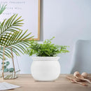 African Violet Pots, 6 inch Ceramic Easy Self Watering Plant Pot for Busy Plant Lovers, Automatically Absorb Appropriate Amount of Water, Flower Pot Indoor-Plants Not Included by GreenHaven Gardens