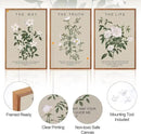 Aurlan The Way The Truth The Life Bible Verse Framed Wall Art(16"x24"), 3PCS Boho Christian Scripture Canvas Artwork, Large Floral Botanical Job 23:11 Psalm 43:3 John 14:6 Decor for Home Bedroom by CozyNest Decor