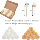 Kimura's Cabin 20Pcs Fake Mums Flowers Artificial Silk Chrysanthemum Faux Ball Flowers for Spring Wedding Arrangements Home Indoor Kitchen Table Centerpiece (White Champagne) by CozyNest Decor