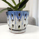 Ceramic Orchid Pot with Drainage Hole 6'' Orchid Planter (Blue Cover White) by GreenHaven Gardens