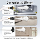 2500W Handheld Steam Cleaner,Portable Car Steamer For Auto Detailing,High-Temperature and Pressure Steam Cleaner For Home, Steam Cleaning Machine for Furniture,Kitchen,Grout,Floor,Tile (6-White) by TinyTreasures Baby Boutique