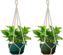 USLAI Macrame Plant Hanger Indoor Outdoor, Up to 4-15 inch Pot, Heavy 20lb Planters, Extra Long Strong Hanging Planter Basket, Boho Home Decor, 35 Inch, Ivory, Set of 2 (POTS NOT Included) by GreenHaven Gardens