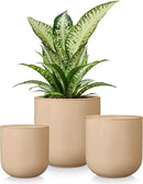 vancasso Ceramic Plant Pots, 4+5+6 inches, Set of 3, Planters with Drainage Hole, Flower Pots Planters Pots for Indoor Plants, Modern Indoor Decorative Garden Pot, Home Decor, Brown by GreenHaven Gardens