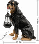 Notakia Resin Dog Rottweiler Statues and Sculptures with Solar Led Home Garden Decoration Windproof Lamp Outdoor Lighting Decor (Rottweiler &LED) by GreenHaven Gardens