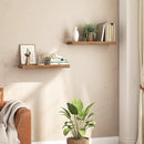 HOOBRO Floating Shelves for Wall, Wall Mounted Shelf Set of 2, 23.6" Hanging Shelf with Invisible Brackets, for Wall in Bathroom, Bedroom, Toilet, Kitchen, Living Room, Office, Rustic Brown BF60BJ01 by CozyNest Decor