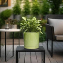 8 Inch Plant Pots - Ceramic Planter for Indoor Plants Outdoor, Round Ceramic Flower Pots with Drainage Hole and Saucer, Boho Decorative Planter, Home Bedroom Decor, Birthday Gifts, Green by GreenHaven Gardens