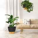 ZMTECH 12 Inch Hanging Planters for Indoor Outdoor Plants, 2 Pack Self Watering Hanging Plant Pots with Drainage Hole, Visual Reservoir, Plastic Flower Hanging Pots with Watering Lip (Black) by CozyNest Decor