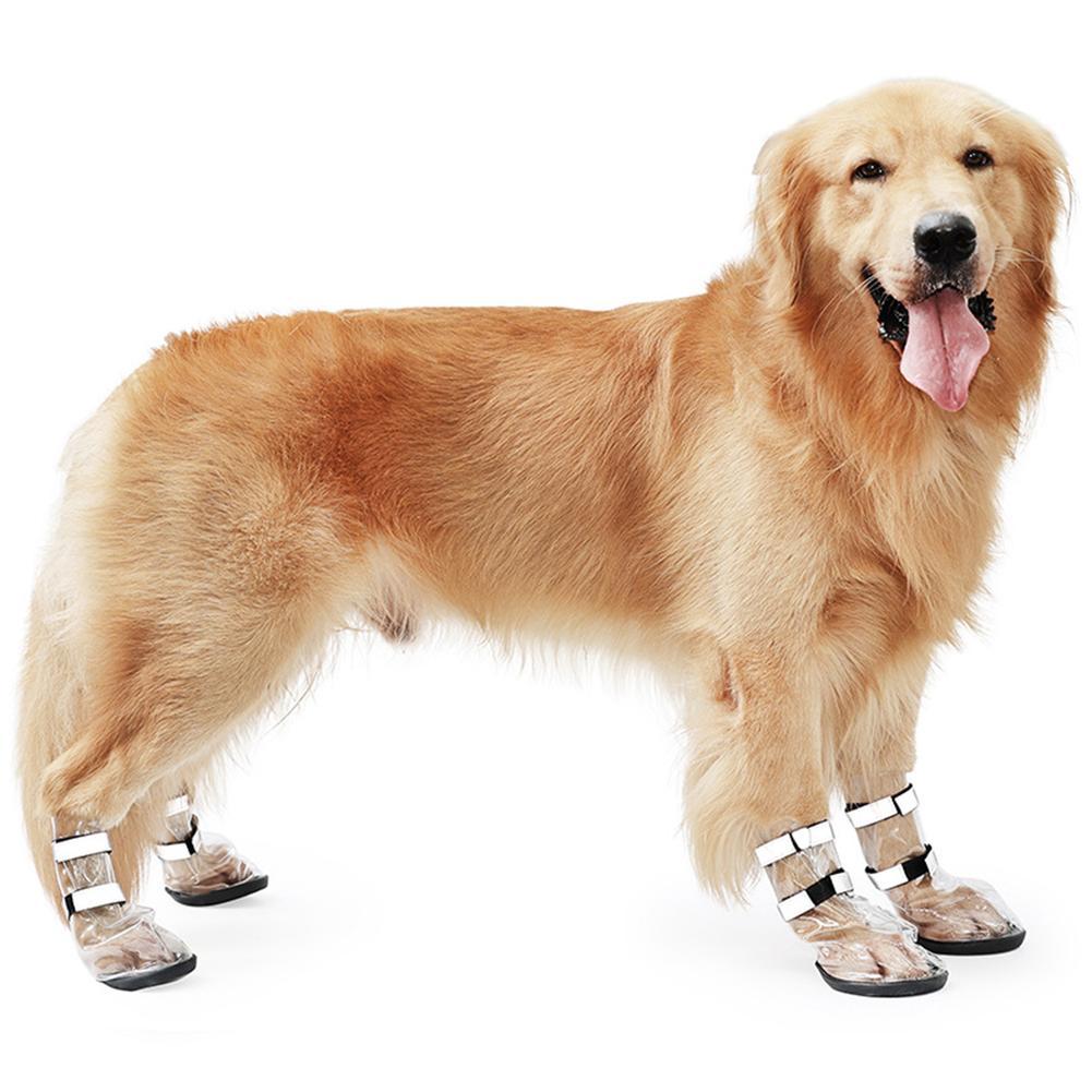 Waterproof Shoes For Pets Splash Proof Large Dogs, photo 2 of 6