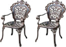 Outdoor Dining Chair Cast Aluminum Patio Chairs Set of 2 All-Weather Patio Dining Chair with Adjustable Feet for Backyard Garden (C-Style Finland Chair) by GreenHaven Gardens