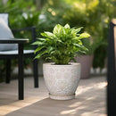 10 Inch Ceramic Planter Pot Large Plant Pot for Indoor Plants Outdoor Round Flower Pot with Drainage Hole and Saucer for Home Garden Decor White by CozyNest Decor