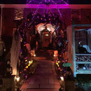 TW SHINE Purple and Orange Halloween Lights, 20FT 100 Count Incandescent Mini String Lights, Waterproof Halloween Decorations for Outdoor Indoor Patio Home Party Garden Yard Decor by GreenHaven Gardens