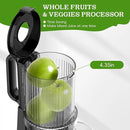 Cold Press Juicer, Juicer Machines with 4.35'' Wide Feed Chute, Stainless Steel Masticating Juicers Easy to Clean, Ergonomic Operational Panel Design, High Juice Yield, Gray Knob by CozyNest Decor