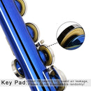 EASTROCK Closed Hole Flutes C 16 Key for Beginner, Kids, Student -Silver Nickel Flute with Case Stand and Cleaning kit (Blue) by TinyTreasures Baby Boutique