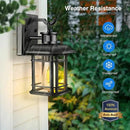 VIANIS 2 Packs Motion Sensor Outdoor Lights, Dusk to Dawn Outside Lights for House, Black Outdoor Light Fixture Sconce for House, Doorway, Entryway, Waterproof, Anti-Rust by GreenHaven Gardens