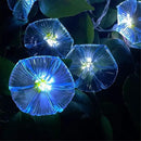 Solar Flowers Outdoor Waterproof - Petunia Blue Morning Glory Flowers&Solar Moth Orchid String Lights 12.5ft 10 LED Phalaenopsis Flower Solar Fairy Lights by GreenHaven Gardens