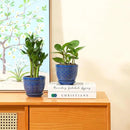 Sureasy Ceramic Plant Pots, 4.7 Inch Flower Pots for Indoor Plants, Succulent Pots with Saucer and Drainage Hole, Decorative Planter for Succulent, Cactus, Set of 4, Blue by GreenHaven Gardens