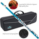 EastRock Closed Hole Flutes C 16 Key for Beginner, Kids, Student -Nickel Flute with Case Stand and Cleaning kit (Sea Blue) by TinyTreasures Baby Boutique
