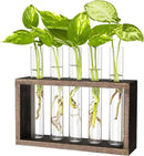 Ivolador Plant Propagation Station Terrariumin Wall Test Tube Vases Bud Tabletop Glass Wooden Stand with 5 Propagation Tubes for Propagating Hydroponic Plants Home Garden Wedding Decoration-Brown by GreenHaven Gardens