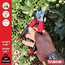 TABOR TOOLS S821A Bypass Pruning Shears, Makes Clean Cuts, Great for S-M Size Hands. Professional Sharp Secateurs, Hand Pruner, Garden Shears, Clippers for The Garden. by GreenHaven Gardens