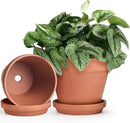 INGOFIN Terracotta Pots Set with Saucer - 2-Pack Ceramic Clay Planters with Drainage Hole, Garden Flower Succulent Pots with Tray for Indoor Outdoor Plants, 8 inch, Set of 2 by CozyNest Decor