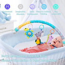 Baby Stroller Arch Toy, Clip On Arch Mobile for Bassinet with Universal Clamps, Activity Toy Bar for Bouncer Musical Crib Mobile Toys for Infants Car Seat Toys Rattle Turtle Music Whale by TinyTreasures Baby Boutique